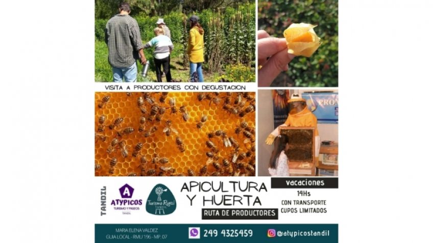 Apicultores locales invitan a conocer su trabajo y degustar sus productos